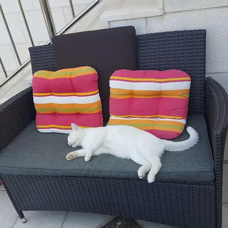 Pojko - One-bedroom With Terrace Yellow *