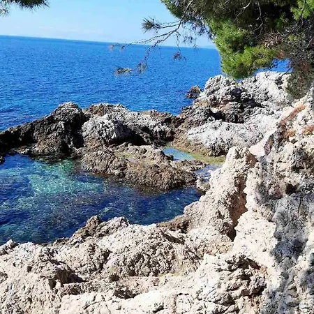 Pojko - One-bedroom With Terrace Yellow Dubrovnik