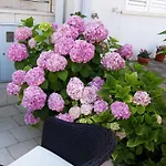 Διαμέρισμα Pojko - One-bedroom With Terrace Yellow