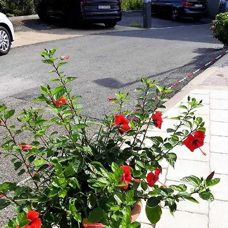 Pojko - One-bedroom With Terrace Yellow Διαμέρισμα