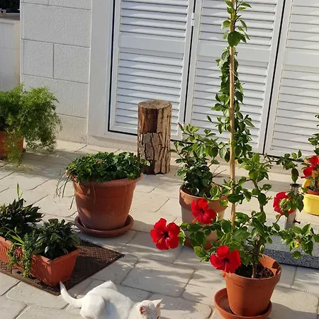 דירה Pojko - One-bedroom With Terrace Yellow דוברובניק