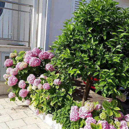 Pojko - One-bedroom With Terrace Yellow * Ντουμπρόβνικ