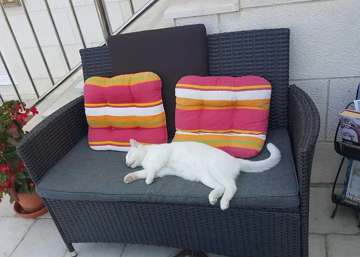 Pojko - One-bedroom With Terrace Yellow *