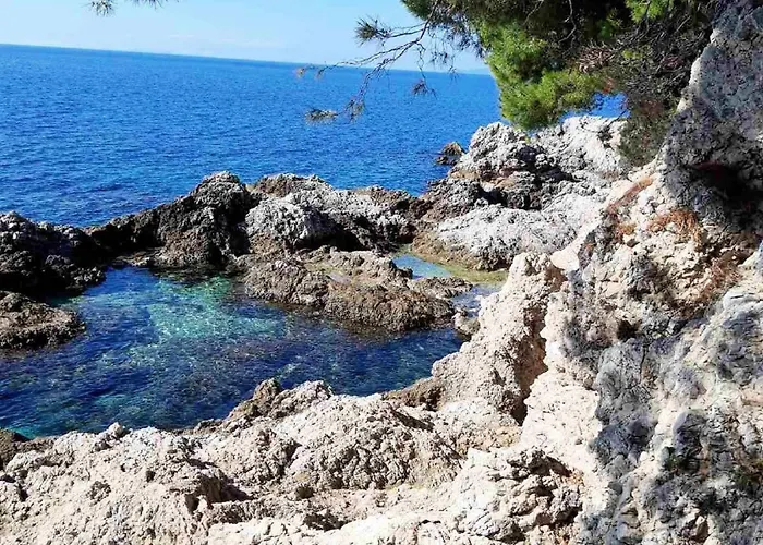 Pojko - One-bedroom With Terrace Yellow Dubrovnik