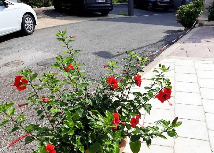 Pojko - One-bedroom With Terrace Yellow Apartmán