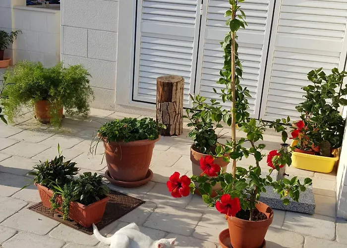 Apartman Pojko - One-bedroom With Terrace Yellow Dubrovnik