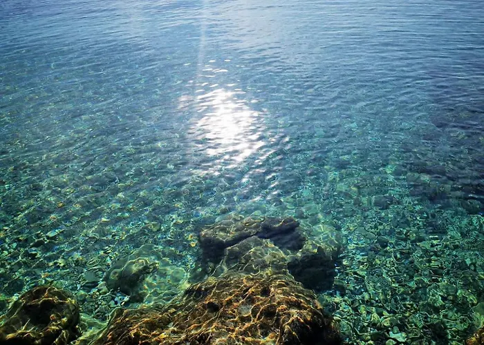 Pojko - One-bedroom With Terrace Yellow *