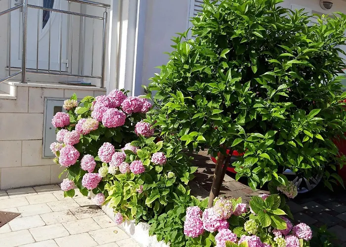 Pojko - One-bedroom With Terrace Yellow * Dubrovnik