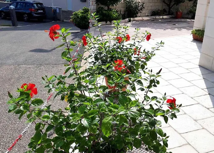 Pojko - One-bedroom With Terrace Yellow Apartmán Dubrovník