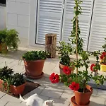 דירה Pojko - One-bedroom With Terrace Yellow דוברובניק