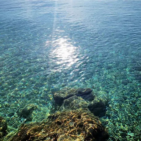 Pojko - One-bedroom With Terrace Yellow *