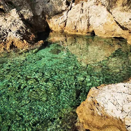 Pojko - One-bedroom With Terrace Yellow Dubrovnik