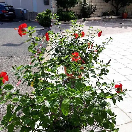 Pojko - One-bedroom With Terrace Yellow Appartement Dubrovnik